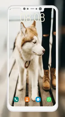 Husky Dog Wallpaper android App screenshot 6